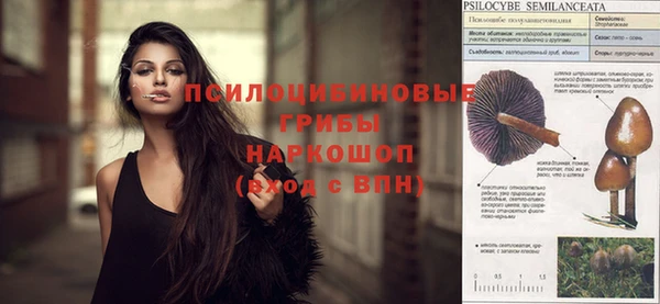 PSILOCYBIN Абдулино