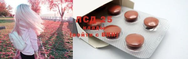 PSILOCYBIN Абдулино