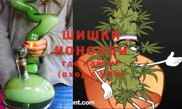 PSILOCYBIN Абдулино