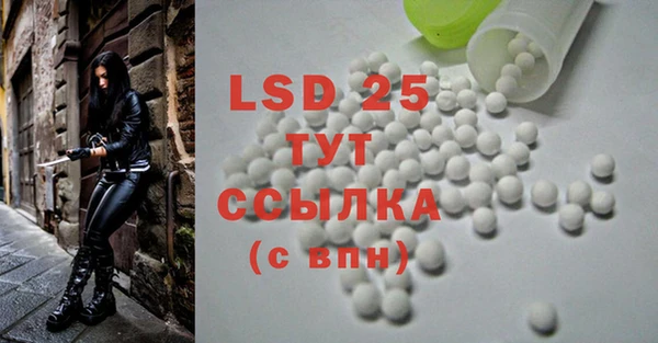 PSILOCYBIN Абдулино