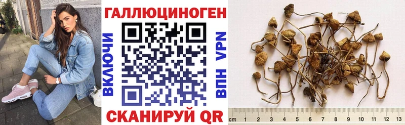 Галлюциногенные грибы мицелий  Димитровград 