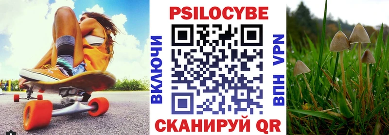 Псилоцибиновые грибы GOLDEN TEACHER Димитровград